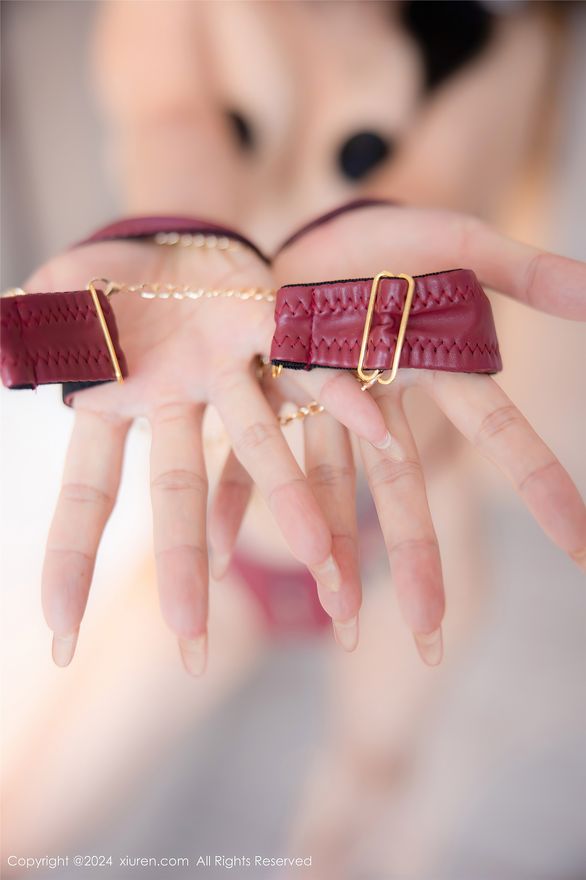 Xiuren秀人网 2024.02.05 NO.8069 田冰冰